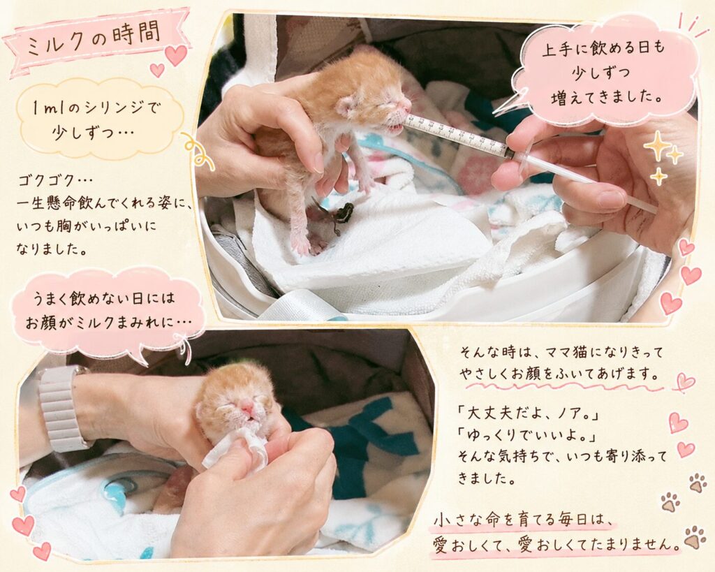 記事内容にある実際の画像