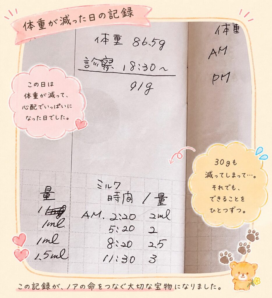 実際の記録ノートの中身画像