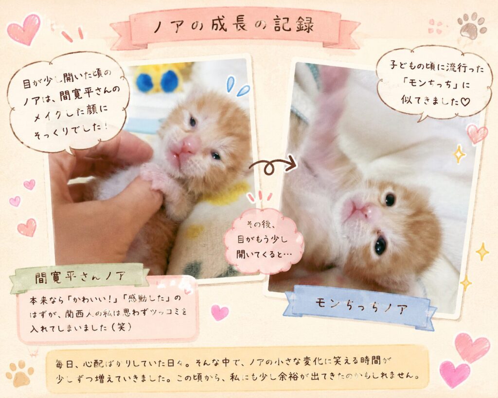 本文だけでは、伝わらないので、写真と説明をいれた画像