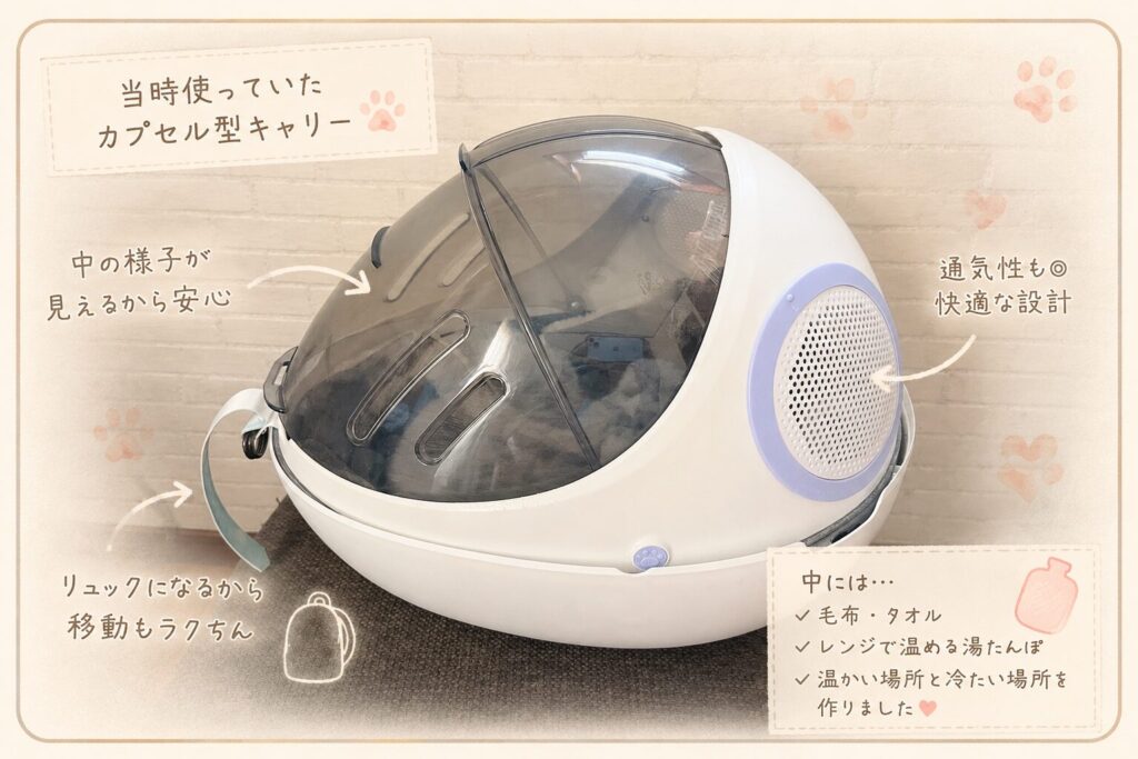 実際に当時つかっていた猫用キャリーと簡単な説明