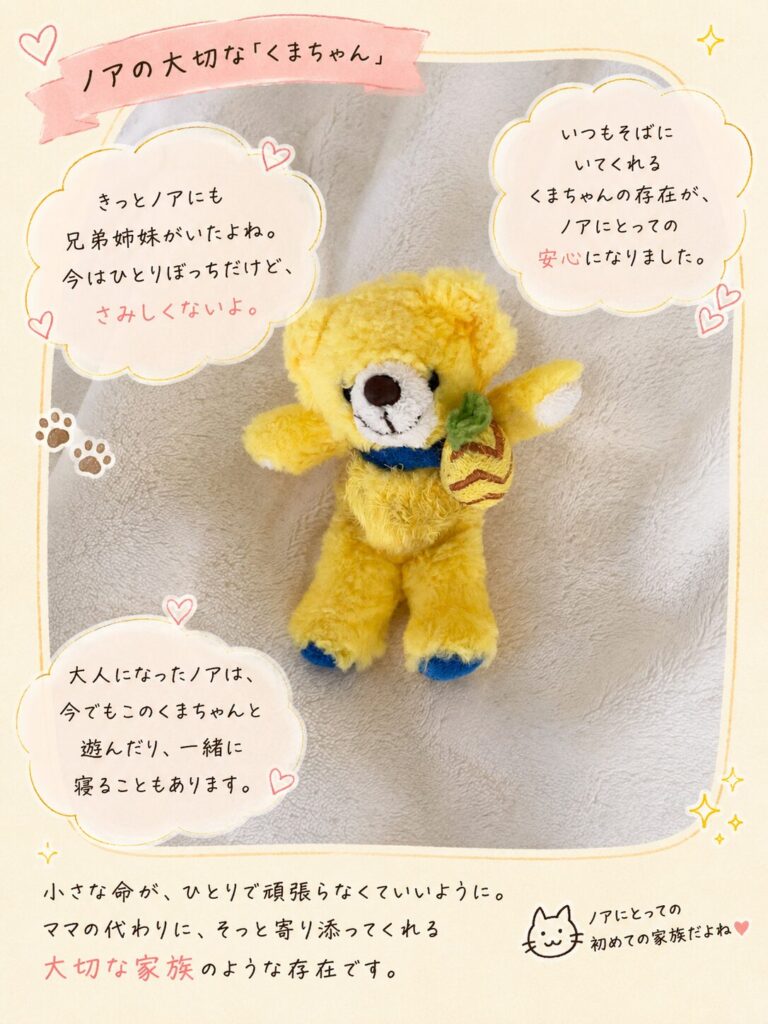 実際に使っているくまのぬいぐるみ画像